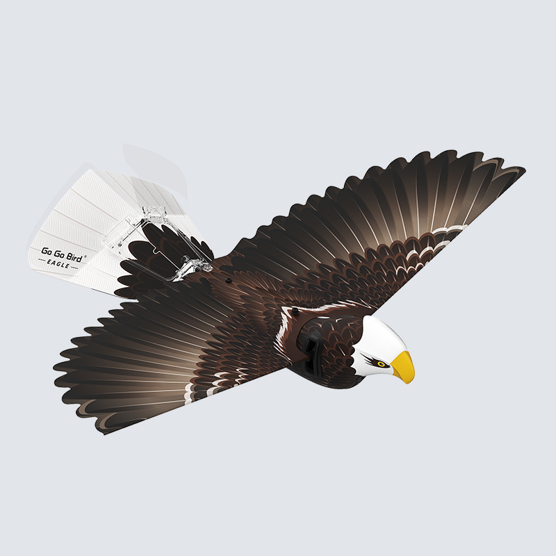 鳥頭∈(・ө・)∋出品 汉王科技-人工智能先行者